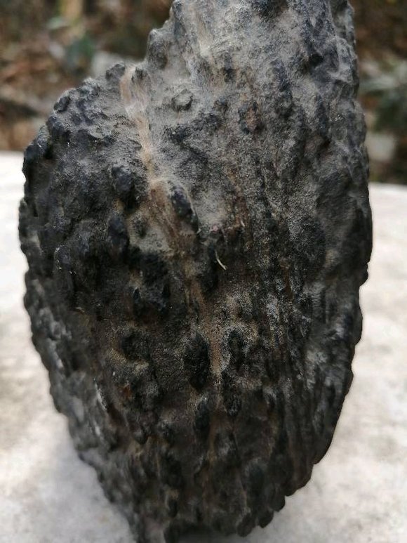 美以爆发内讧遭伊朗1吨重弹头打击内塔尼亚胡向美国讨要说法(图1)